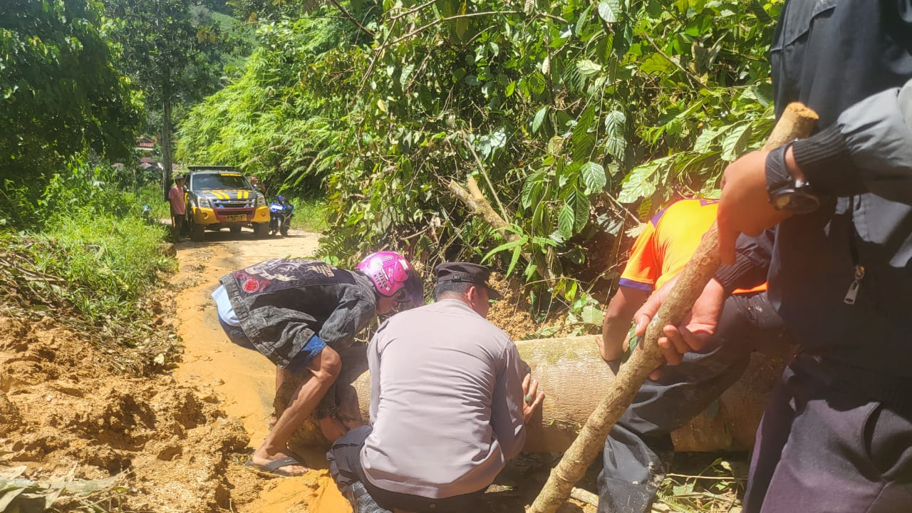 Kapolsek Bonjol IPTU REPALDI, SH, Bersama  Anggota Jaga Kamtibmas Tetap Kondusif di lokasi Longsor dan kayu tumbang di Rimbo Langkuik
