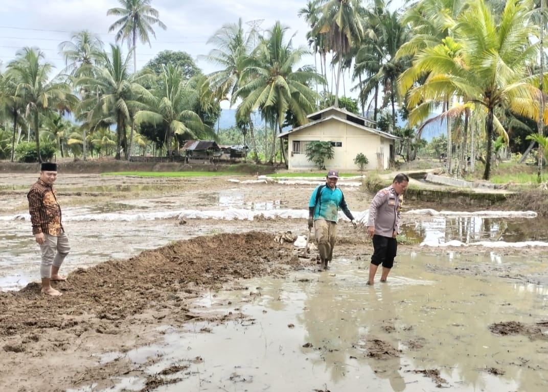 Bhabinkamtibmas Sambangi Jorong Nagari Padang Mantinggi Dalam Rangka Program Pemerintah Tentang Ketahanan Pangan 