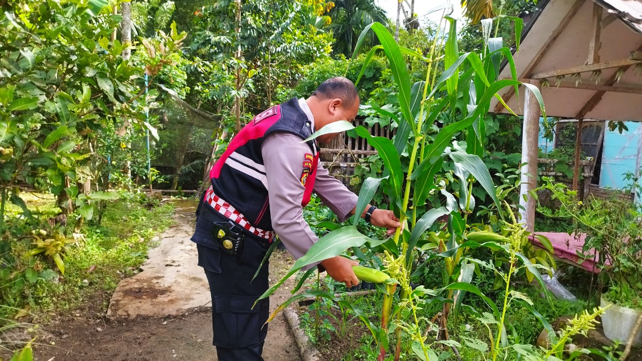 Wujudkan Program ASTA CITA Polsek Duo memberikan penyuluhan dan pembinaan kepada Petani Jagung