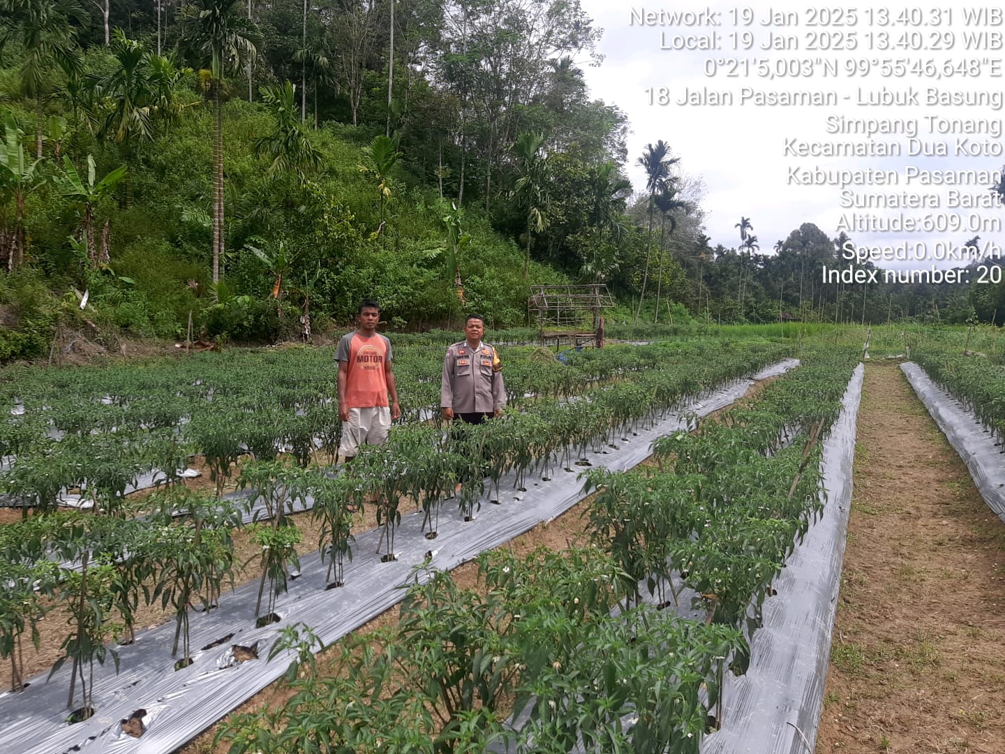 Kapolsek Dua Koto Wujudkan Program ASTA CITA Beri Pembinaan kepada Petani