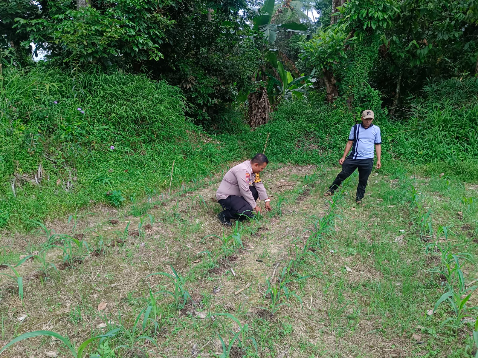 Bhabinkamtibmas DDS Dengan Masyarakat Jorong.Tabing Nagari Koto Kaciak 