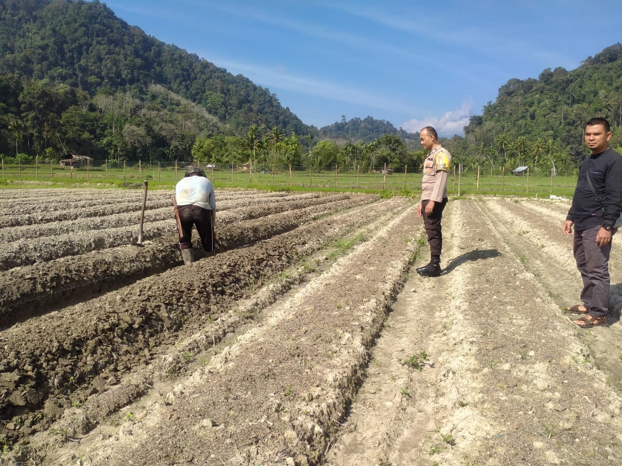 Bhabinkamtibmas Nagari Jambak Sampaikan Program Asta Cita Bapak Presiden RI PRABOWO SUBIANTO terkait Ketahanan Pangan