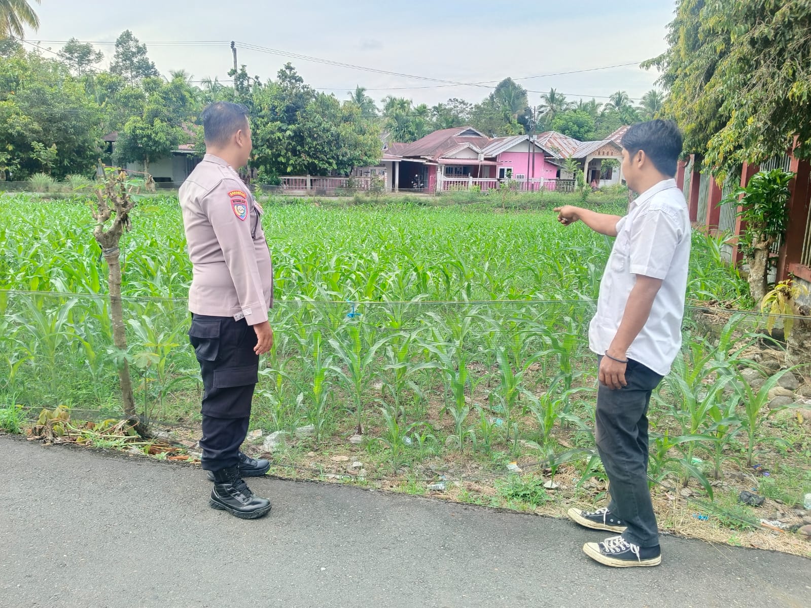 Bhabinkamtibmas Nagari Koto Kaciak   sambang lokasi Ketahanan pangan ( Pekarangan Pangan Bergizi )