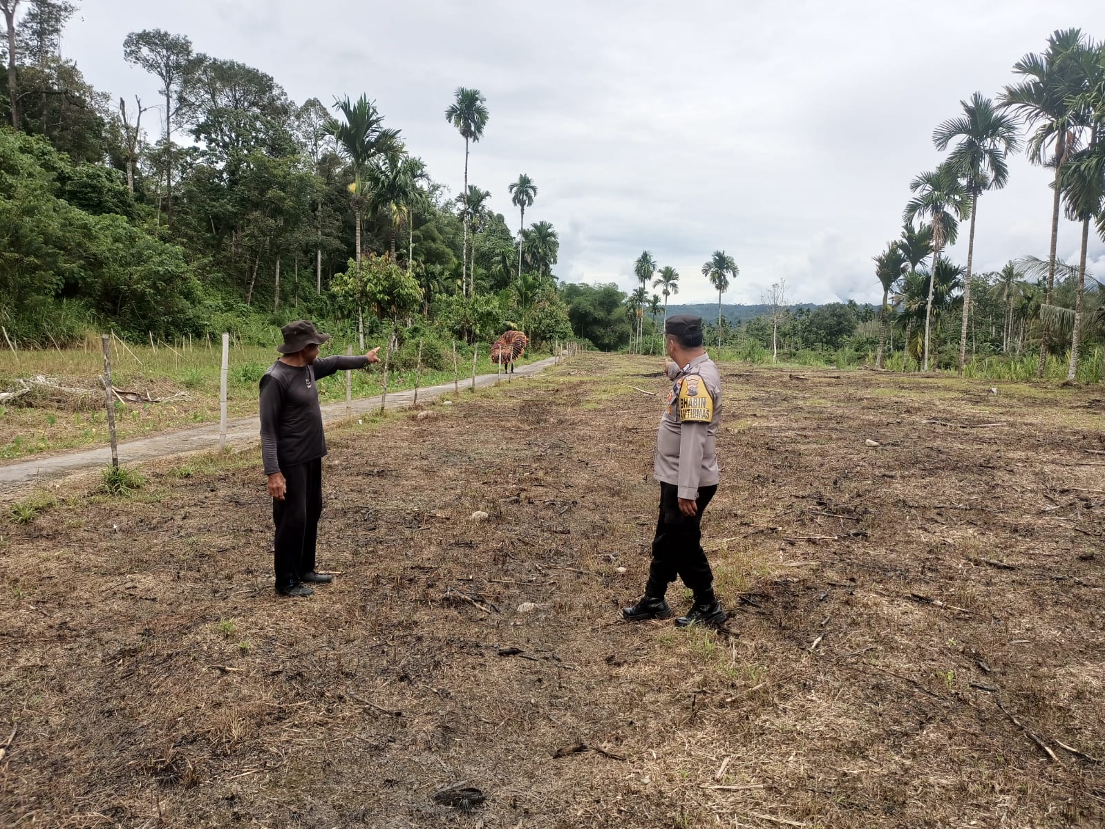 Bhabinkamtibmas Nagari Simpang THTS pembersihan lahan Ketahanan pangan berupa jagung 
