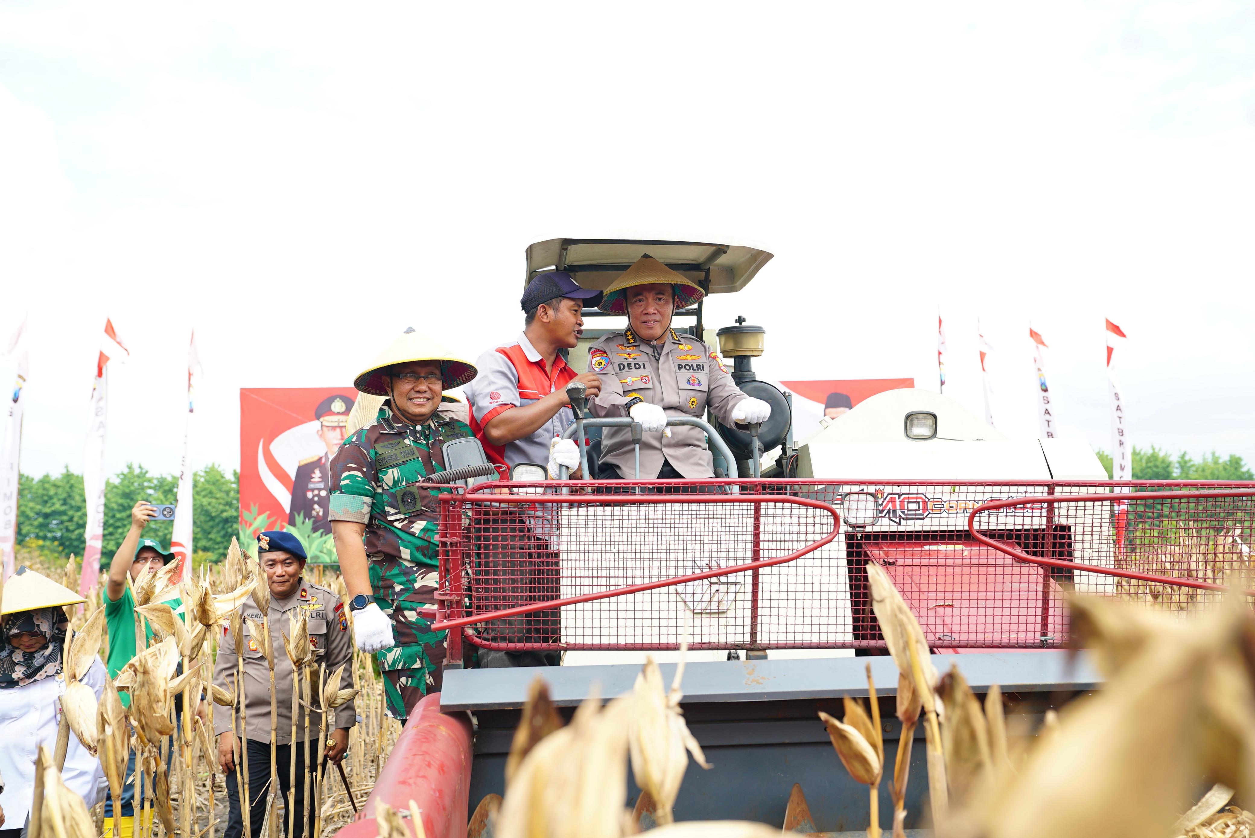 Irwasum Polri Pimpin Panen Jagung Serentak di Madiun, Wujudkan Astacita