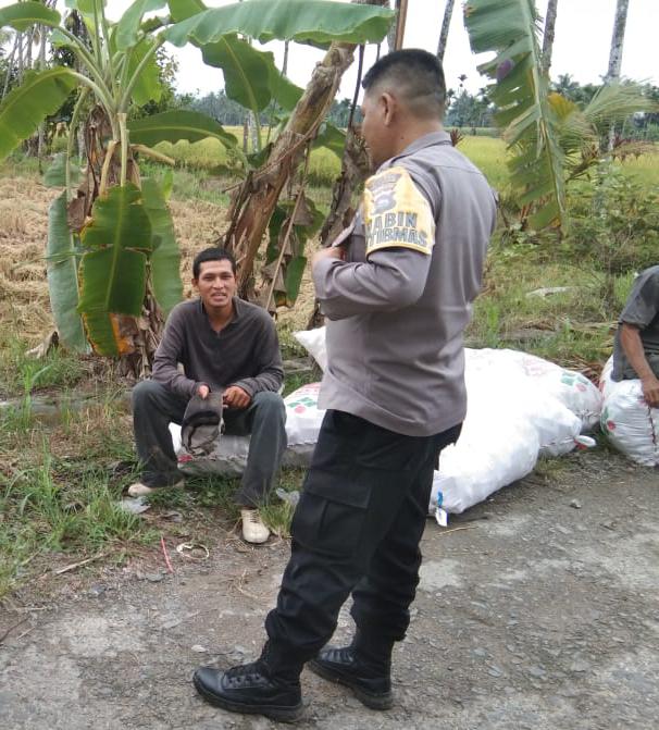 Bhabinkamtibmas Nagari Lubuk Layang  Kontrol Tanaman  Petani