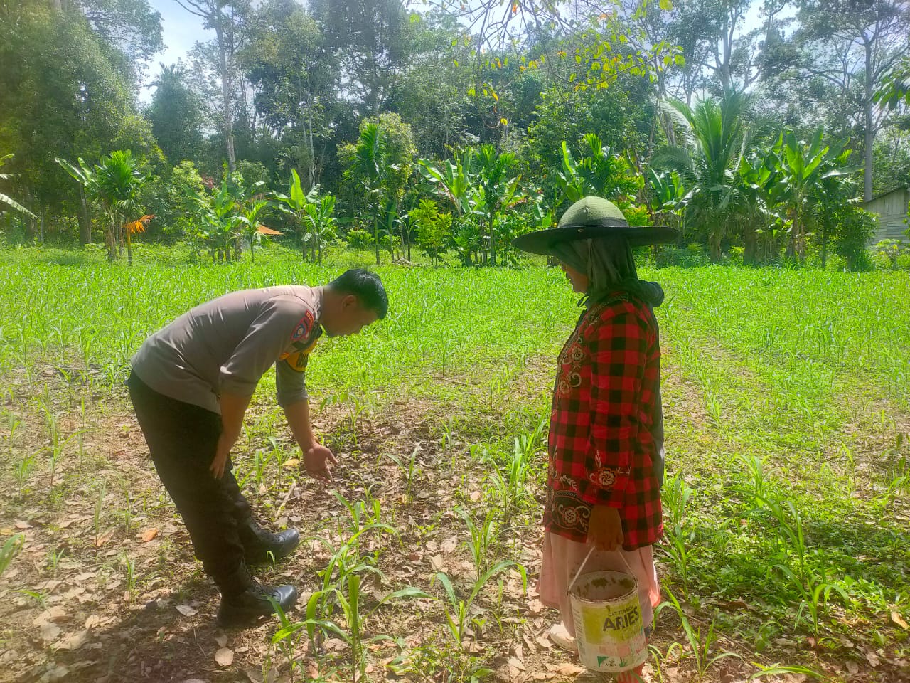 Kontrol Perawatan Tanaman Bhabinkamtibmas Nagari Tanjung Betung  Dukung Program Asta Cita 