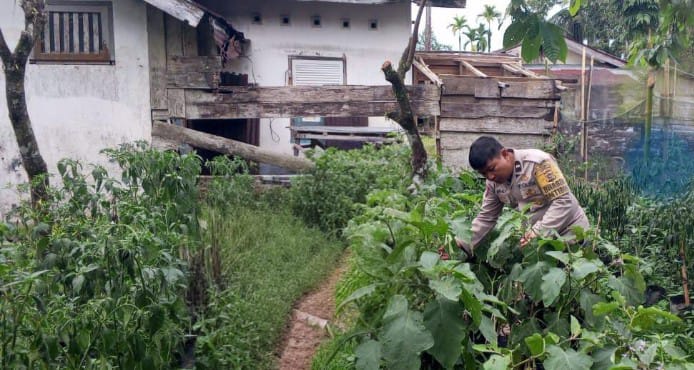 Bhabinkamtibmas Nagari Alahan Mati mengajak masyarakat membuka lahan untuk Ketahanan pangan 