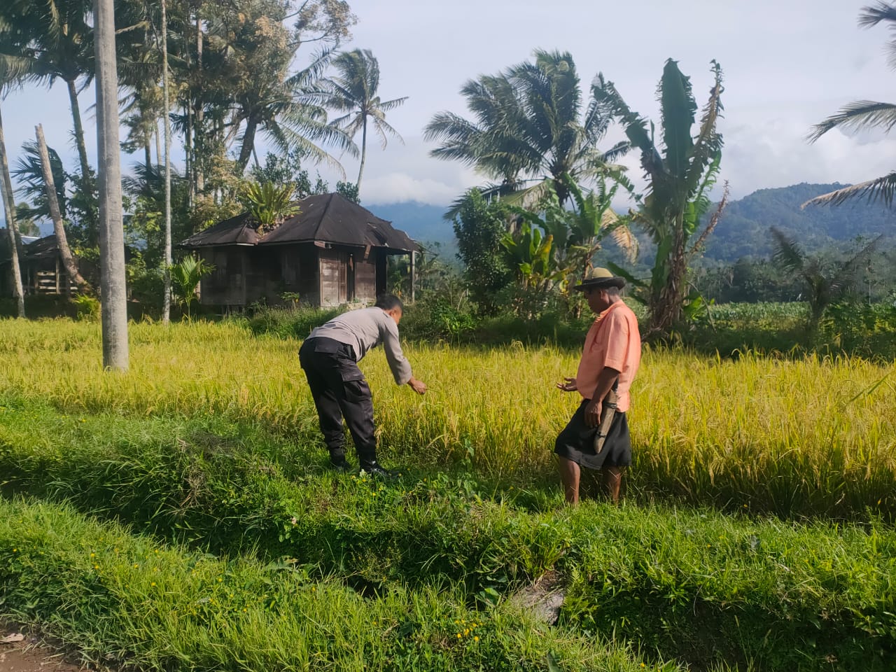 Polsek Duo Koto Wujudkan Program ASTA CITA Ketahanan Pangan Nasional
