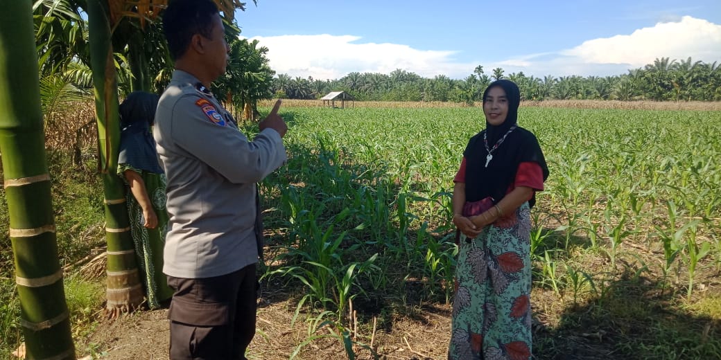 Bhabinkamtibmas Nagari Ladang Panjang Mengajak masyarakat untuk memanfaatkan lahan tidur dan lahan kosong 
