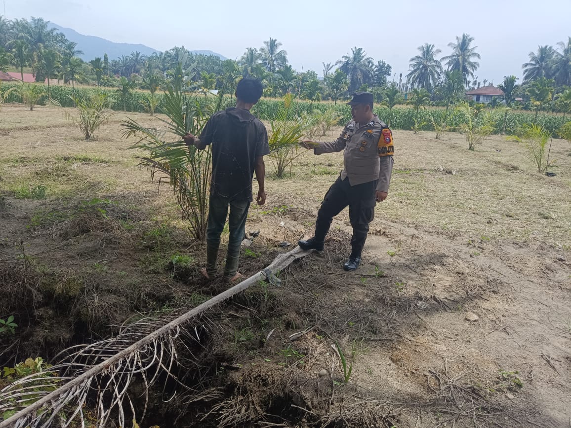 Bhabinkamtibmas Nagari Binjai Kontrol  Tanaman dalam rangka mendukung Program Asta Cita