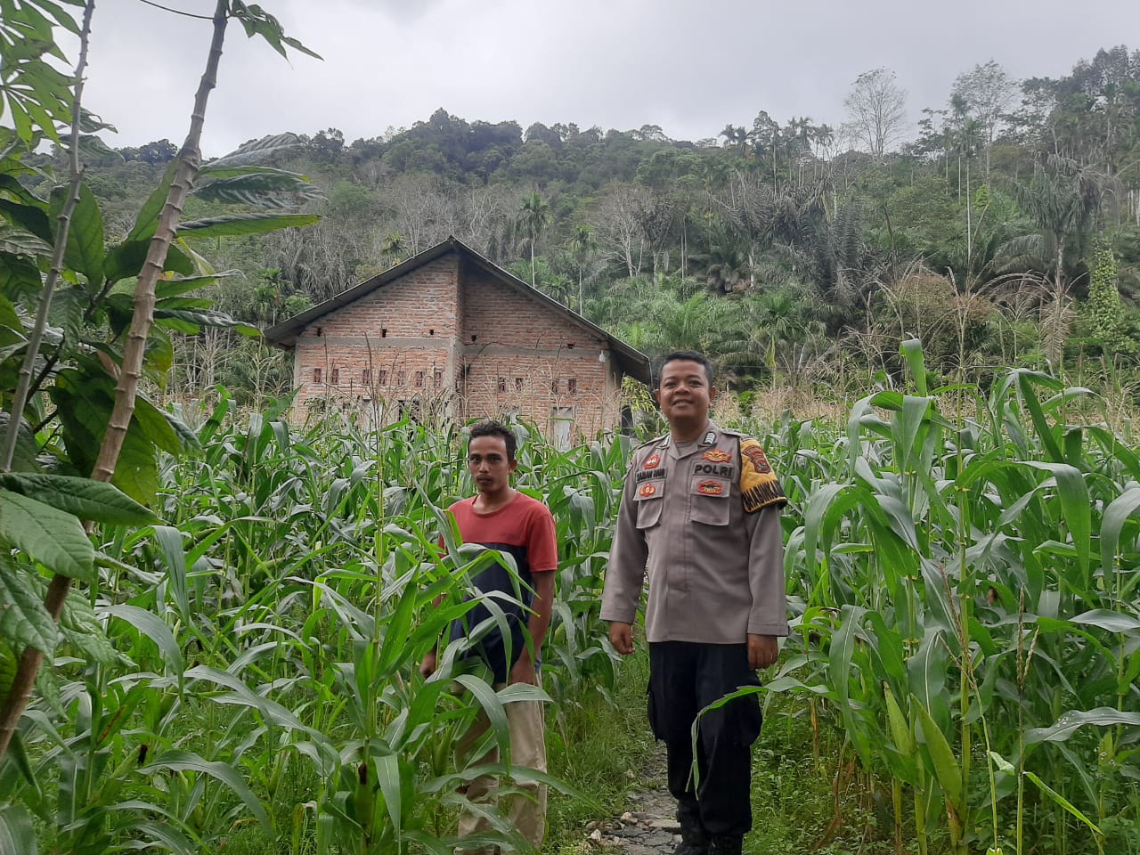 Bhabinkamtibmas Nagari Simpang Tonang kontrol lahan masyarakat dalam rangka mendukung *Program Asta Cita 
