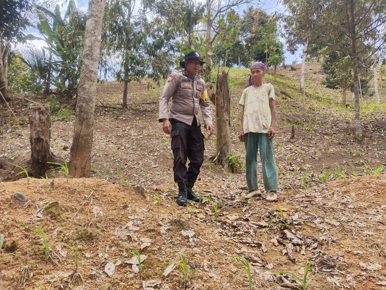 Bhabinkamtibmas Nagari Lubuk gadang sambang ke lokasi ketahanan pangan memanfaatkan lahan kosong 