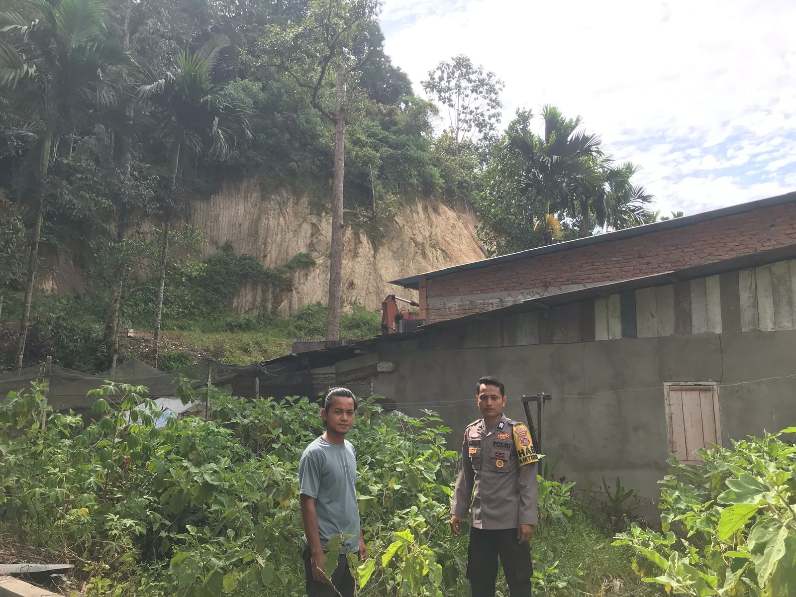 Bhabinkamtibmas Nagari Panti Timur dan pemilik melaksanakan perawatan tanaman teromg bersama pemilik lahan