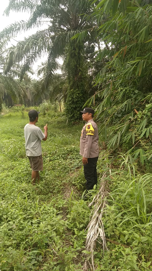 Bhabinkamtibmas Nagari Sontang Cubadak Sambang lokasi ketahanan pangan
