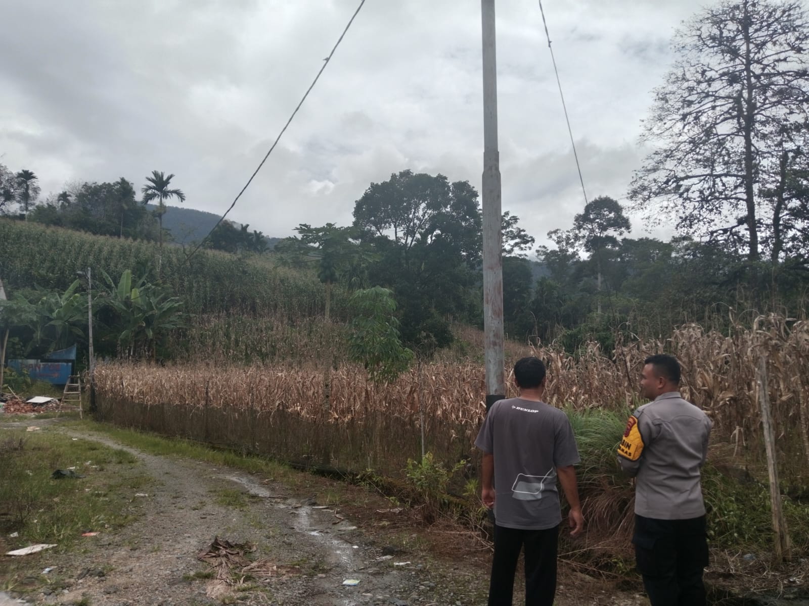 Bhabinkamtibmas Nagari Jambak sambang ke lokasi ketahanan pangan memanfaatkan lahan kosong 