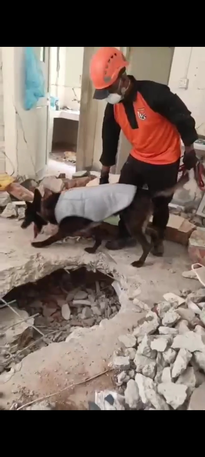 *Tim K9 Polri yang Tergabung dalam Tim INASAR 1 Berhasil Temukan Korban dalam Operasi Kemanusiaan di Myanmar*