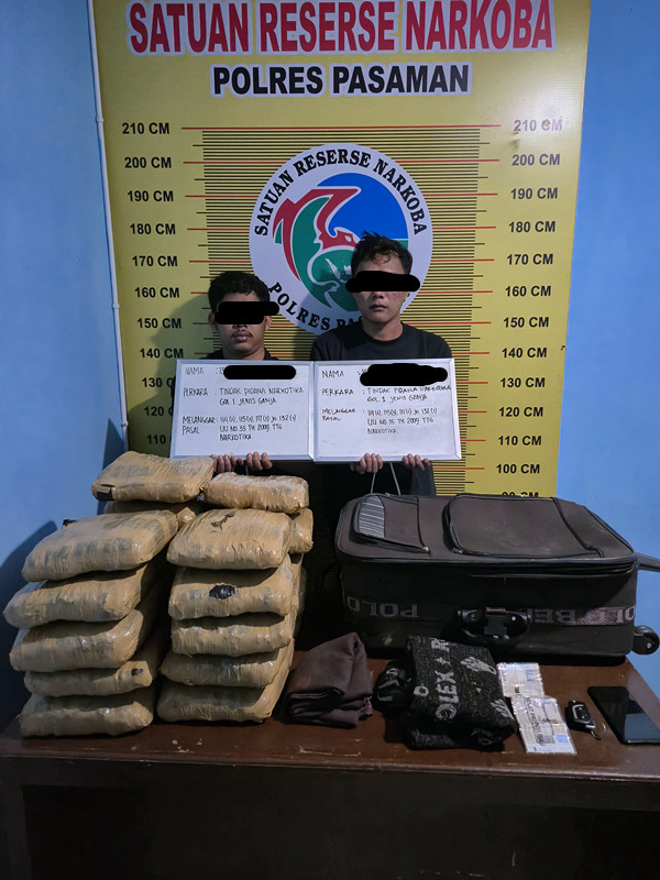 Sat Resnarkoba Polres Pasaman Amankan 21 Paket Besar Ganja Bekuk (Dua) Orang Tersangka